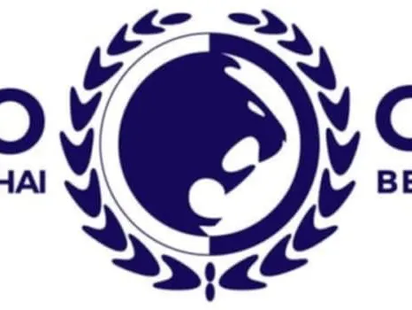 renzo gracie keychain