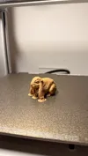0.2mm layer, 2 walls, 10% infill