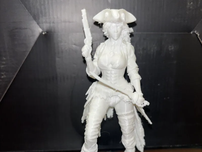 Female pirate 