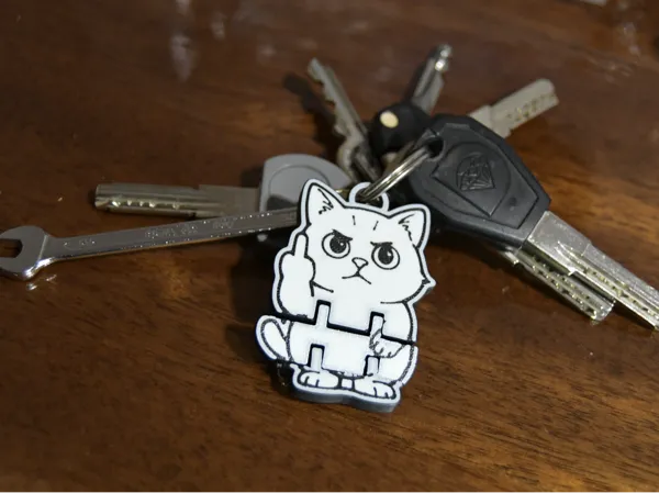 https://makerworld.bblmw.com/makerworld/model/US1e9559c7b7ca82/design/2025-12-21_a4cc56f2f9f1f8.jpg