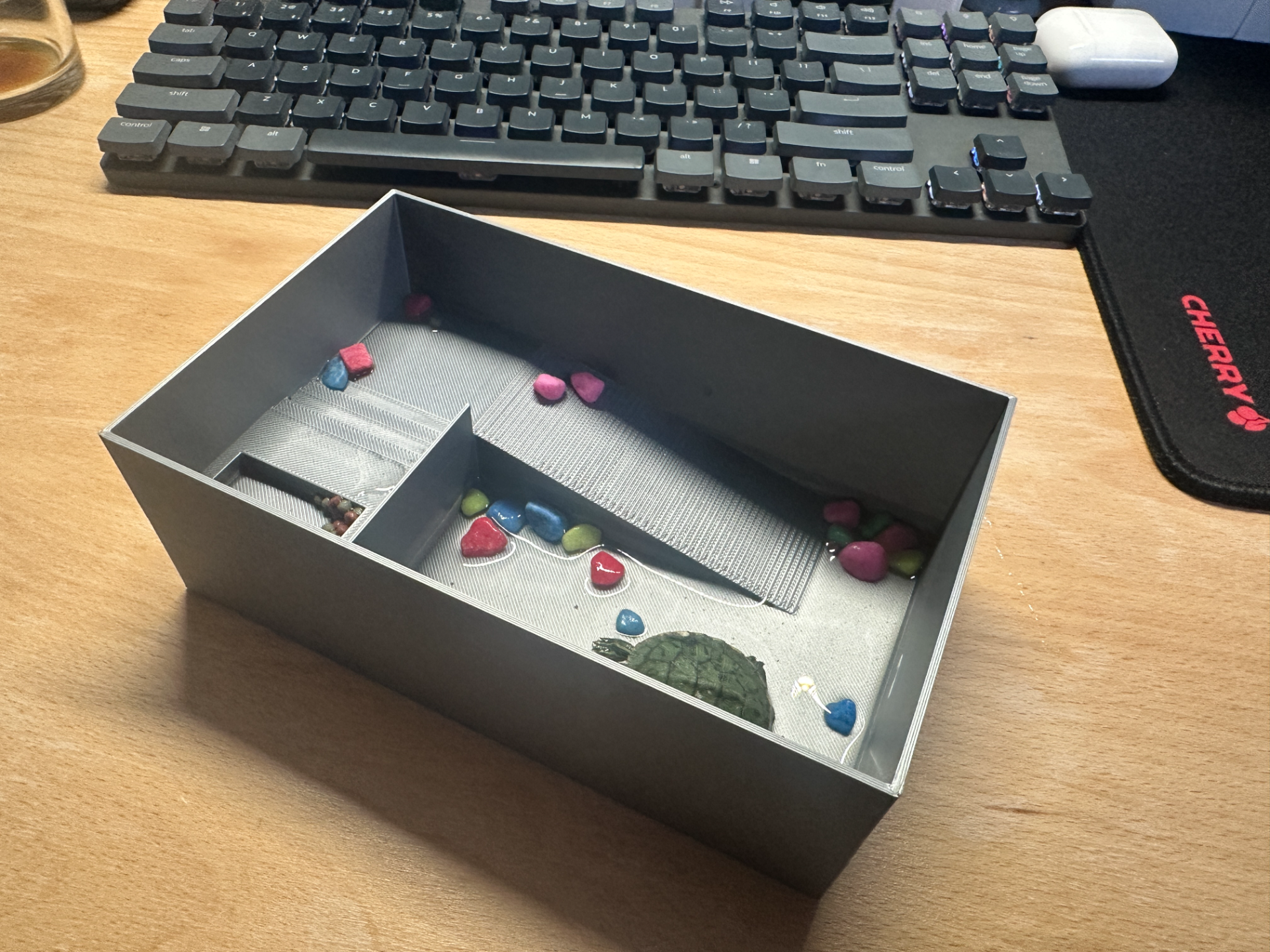 Small pool for tortoise with slope