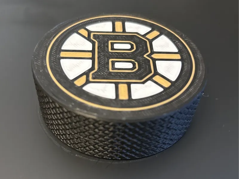 Boston Bruins Hockey Puck