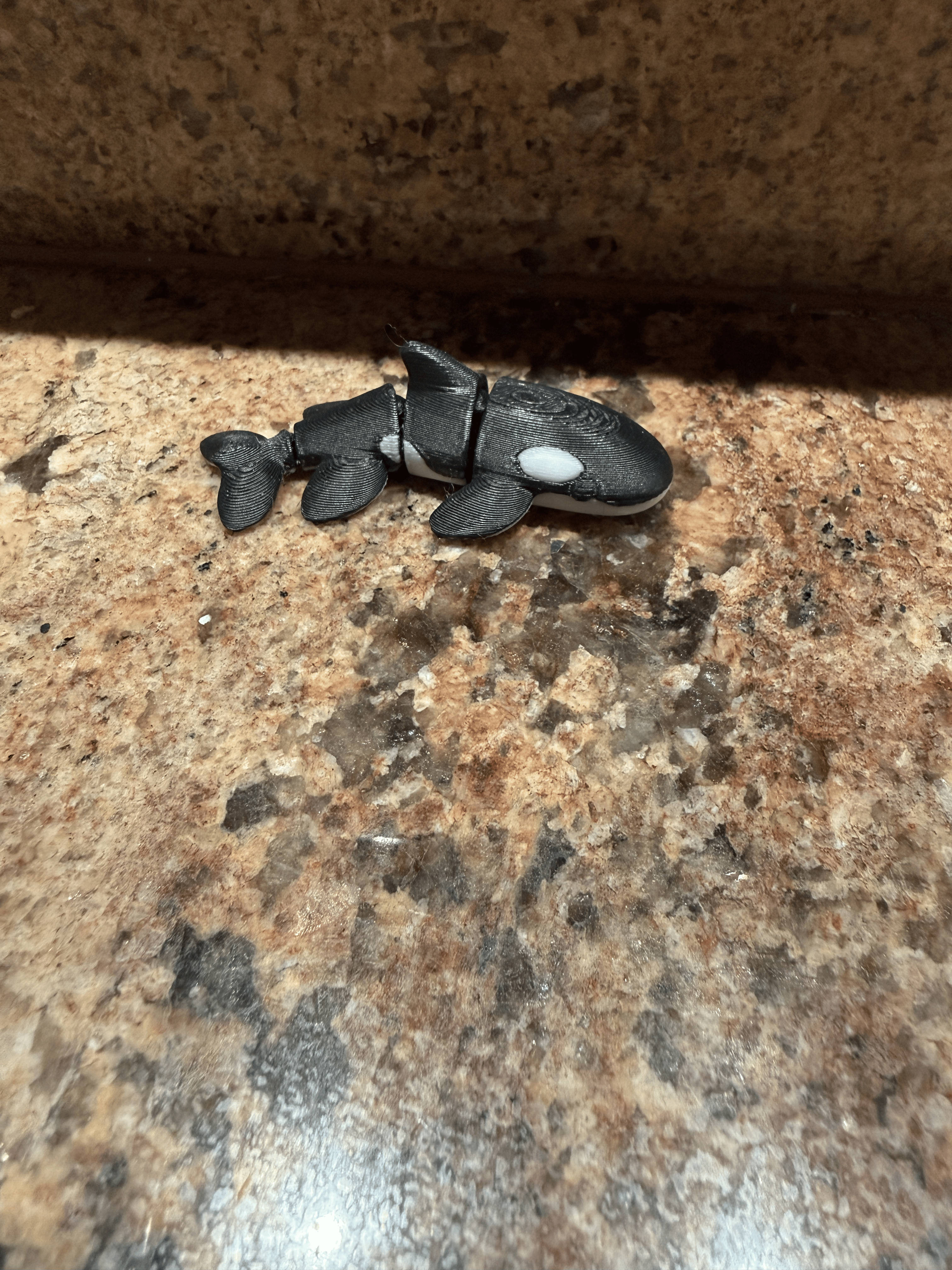 Miniatura 1 do modelo 3D Flexi Orca Whale 