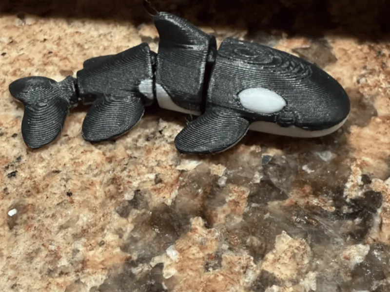 Flexi Orca Whale 