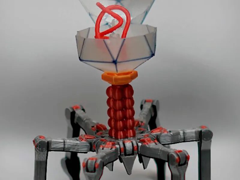 Cute Support Free Bacteriophage T4 PrintinPlace