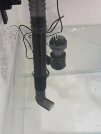 10cm长度