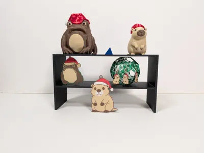 THE SHELF