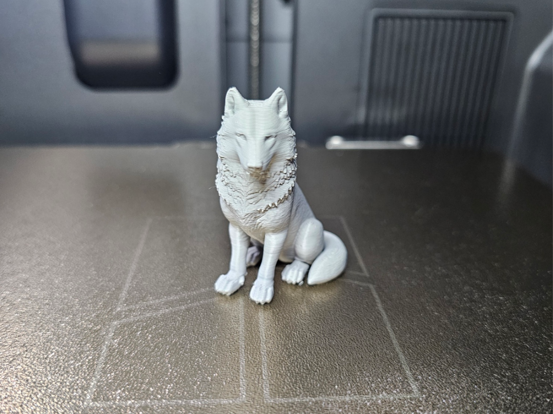 Wolf sitzend - Tiere aus aller Welt