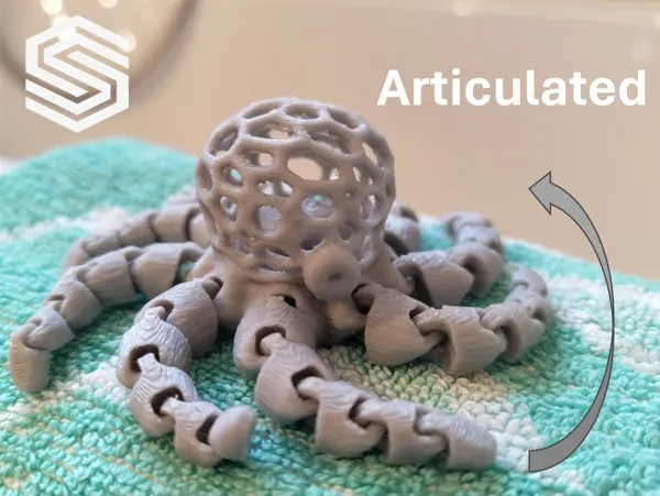 https://makerworld.bblmw.com/makerworld/model/US1ead5160cfa850/design/2024-03-16_lpsd4i2bvjcu.png