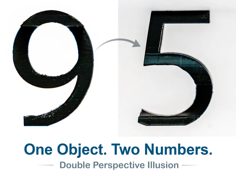 Number 95 Optical Illusion (10-99 available)