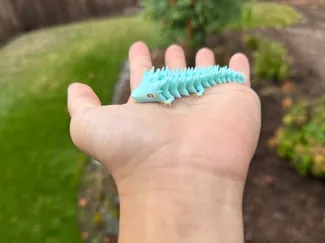 The optimized dragon