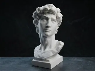 Classic David Bust