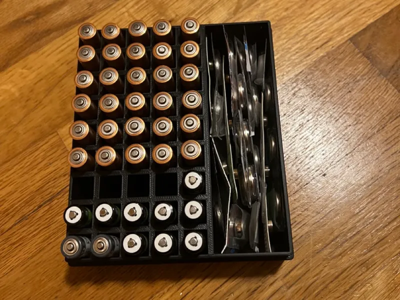 Large Capacity AAA Battery Storage Case