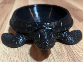 Turtle Bowl