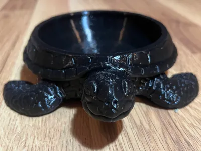Turtle Bowl