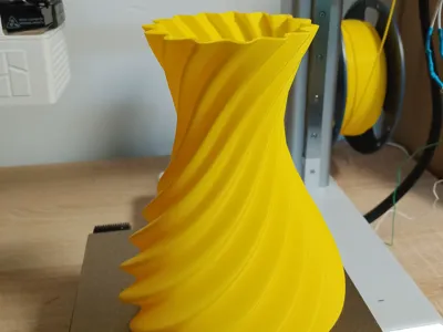Beautiful Spiral Vase