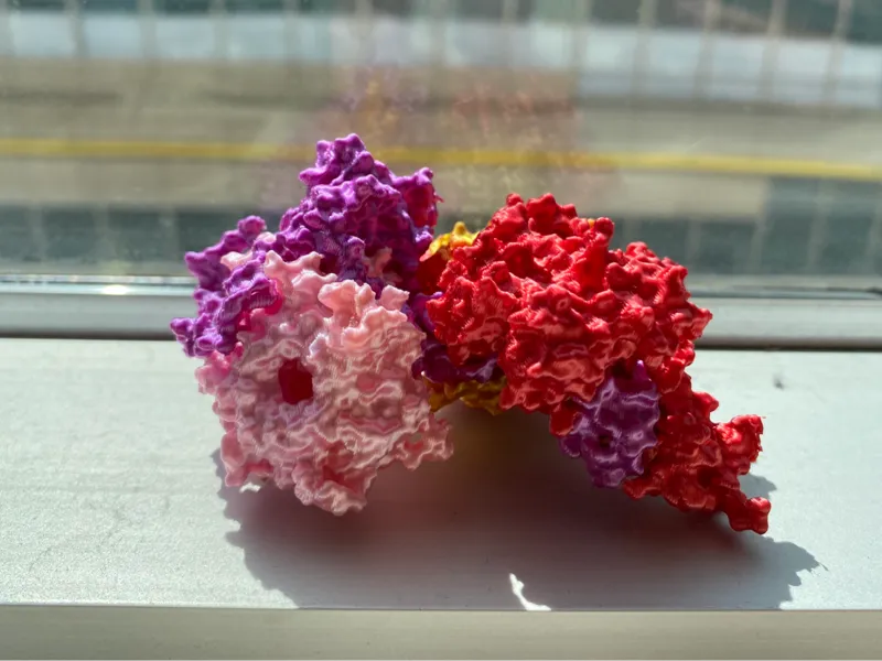 Polycomb Repressive Complex 2 (PRC2)