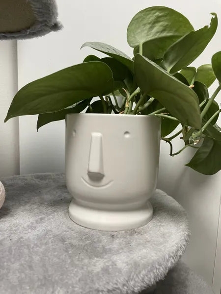 https://makerworld.bblmw.com/makerworld/model/US1ec1c8c4178c9a/design/2023-12-31_q81mwel5qmj3.jpeg