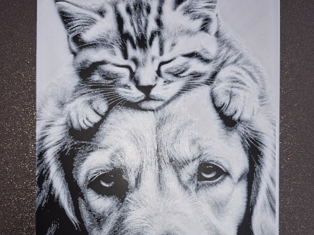 Cute Kitten and Dog
