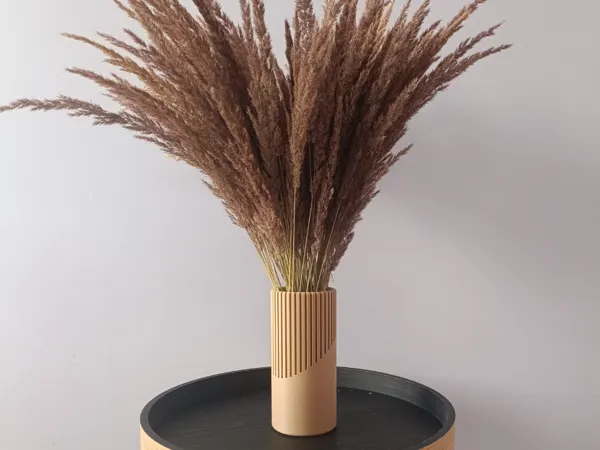 https://makerworld.bblmw.com/makerworld/model/US1ecf5960ab584b/design/2025-12-11_cf803de9160688.jpg