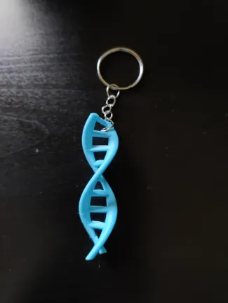 DNA Keychain, no support