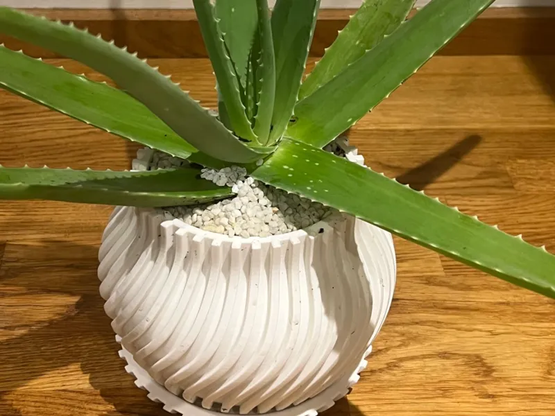 FUSION POT