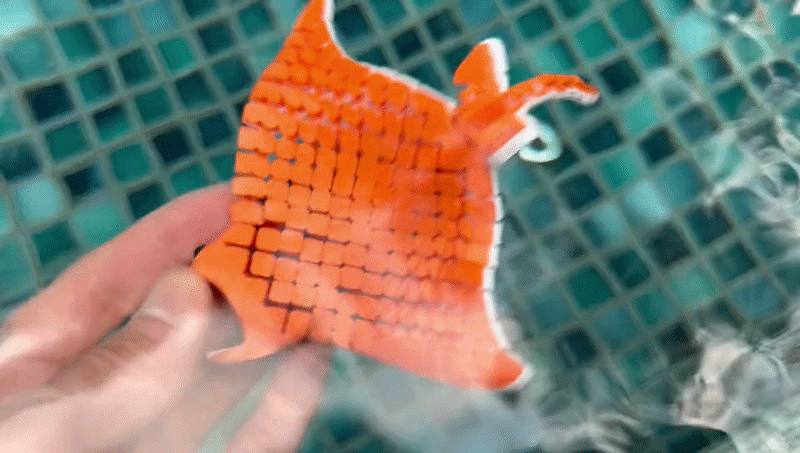 Miniatura 1 do modelo 3D 灵活柔性蝠鲼