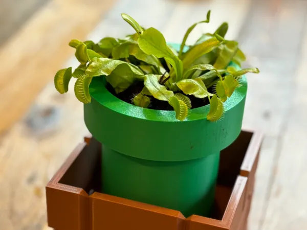 https://makerworld.bblmw.com/makerworld/model/US1ed681ea4482b4/design/2024-05-30_d3cec5ba67821.jpg