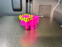 normal pig