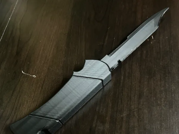 https://makerworld.bblmw.com/makerworld/model/US1edee292e6ed7a/design/2025-06-15_4adde7fa45bcc8.jpeg