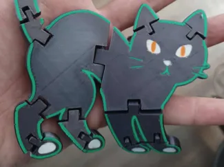 Flexi Cat
