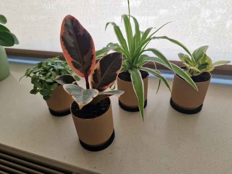 Small Planter with drip tray