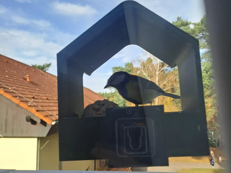 Window Bird Feeder ,Fenster Vogelhaus