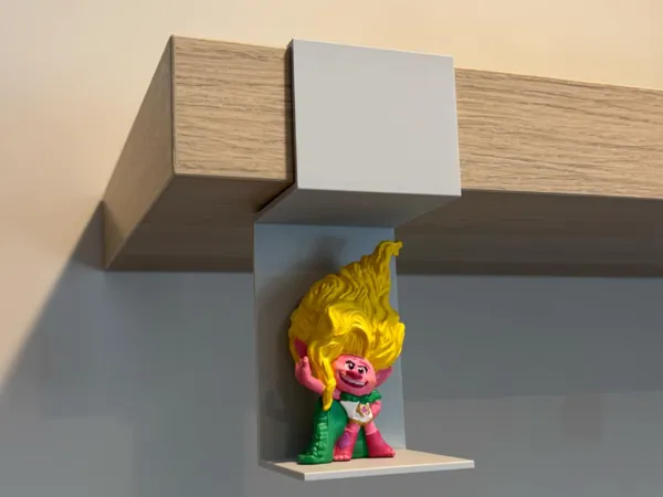 https://makerworld.bblmw.com/makerworld/model/US1ee56a269ad390/design/2025-01-25_41d85b3119777.jpg