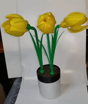 Watch Me Bloom! – Water‑Activated Easter Daffodil