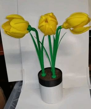 Watch Me Bloom! – Water‑Activated Easter Daffodil