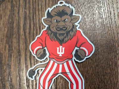 IU Hoosier Mascot