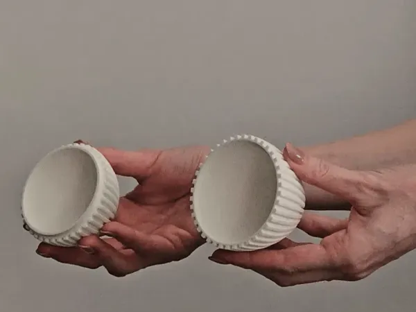 https://makerworld.bblmw.com/makerworld/model/US1eeddc892ae56/design/2025-03-20_f3e711aa3226b.webp