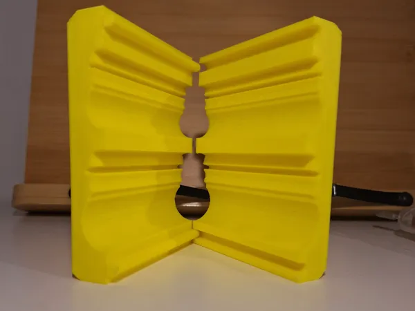 https://makerworld.bblmw.com/makerworld/model/US1ef2417ff28025/design/2024-12-01_741a9650d5afc.jpg