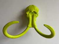0.2mm layer, 2 walls, 5% infill