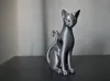 black_cat_2