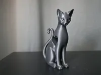 black_cat_2
