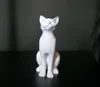 white_cat