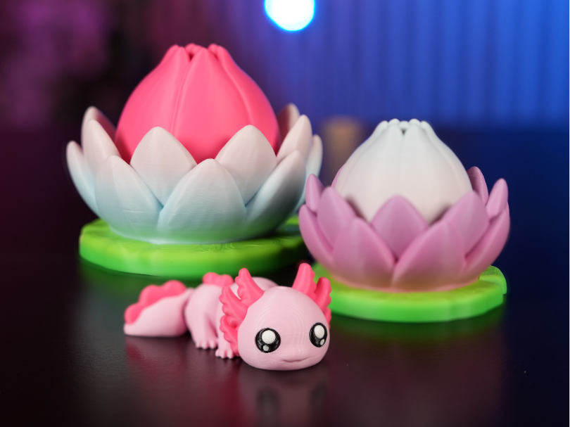 Axolotl Water Lily Diorama - 1