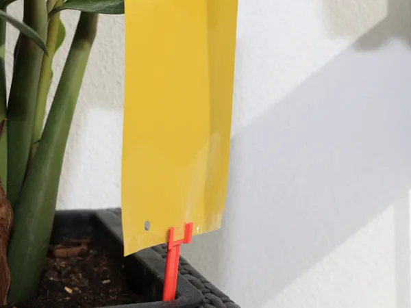https://makerworld.bblmw.com/makerworld/model/US1efbe78ab763ac/design/2025-04-07_ddaf0ccc85851.jpg