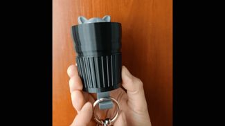Raccoon Keys Holder