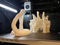 0.12mm layer, 3 walls, 5% infill