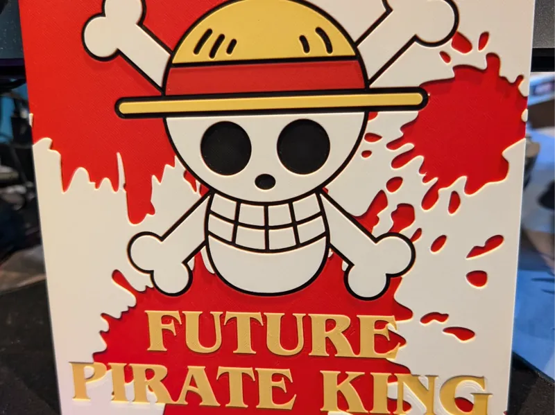 One Piece Straw Hat Jolly Roger Future Pirate King