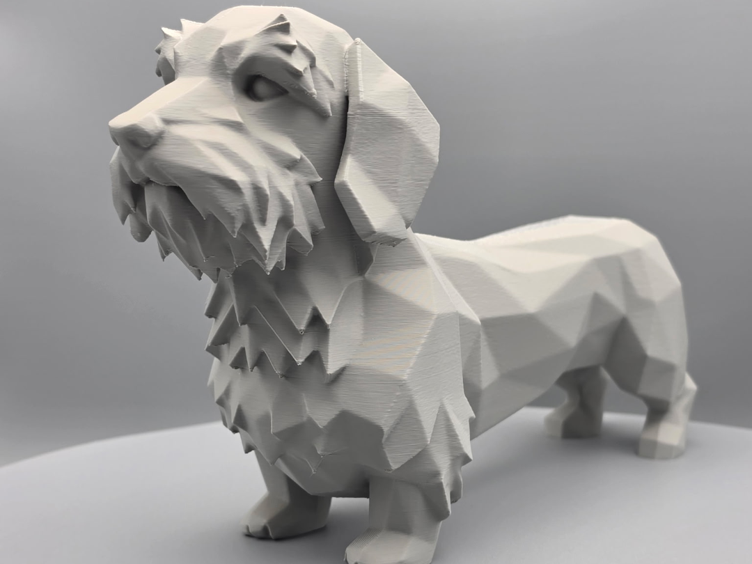 Geometric Wire Haired Dachshund 
