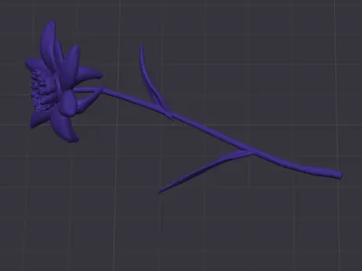 Edelweiss single color / PETG 